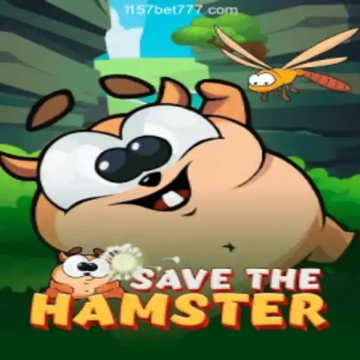 SavetheHamster: An Engaging Adventure and Strategy Game